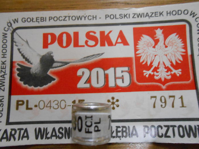 PL FCI 2O15 - POLONIA PL