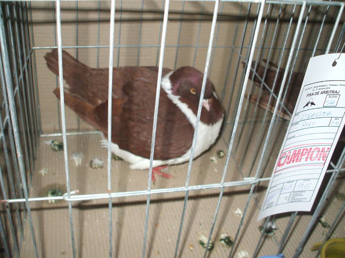 DSCF6527