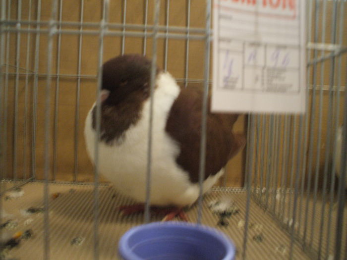 DSCF6532