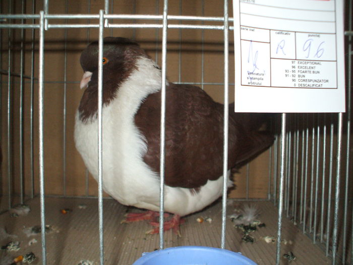 DSCF6533