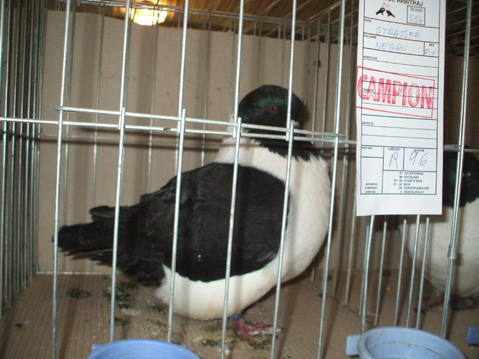 DSCF6536