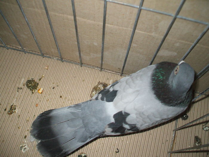 DSCF6718