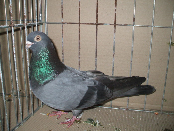 DSCF6725