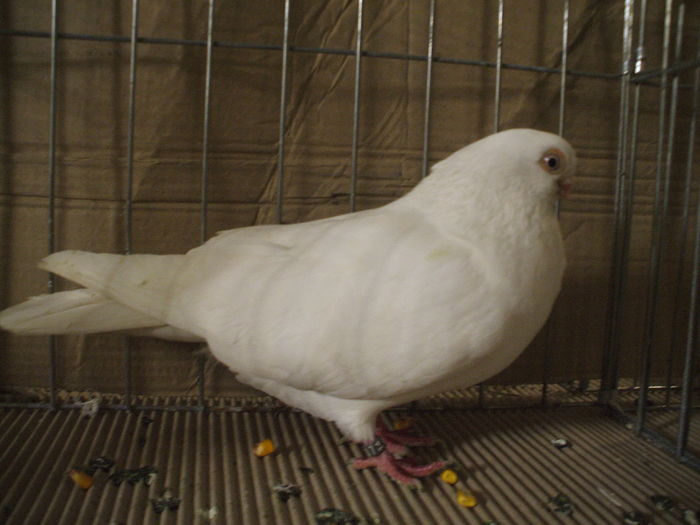DSCF6744