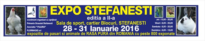 Reclama stradala - EXPO STEFANESTI EDITIA A-II-A  2016 IAN 27 01 2016  31 01 2016