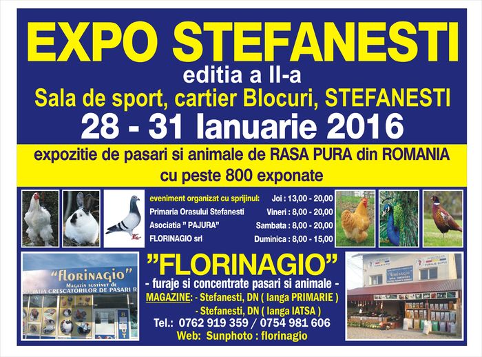 banner mare sala de sport - EXPO STEFANESTI EDITIA A-II-A  2016 IAN 27 01 2016  31 01 2016