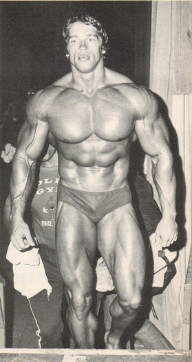 Arnold Schwarzenegger