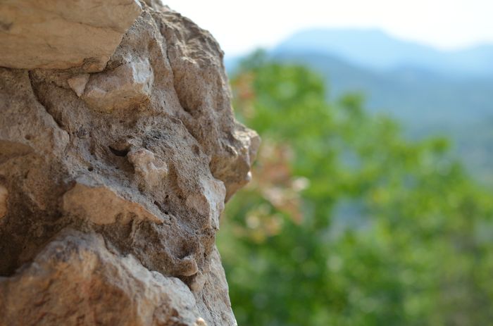 DSC_0309_13-08-20_155012