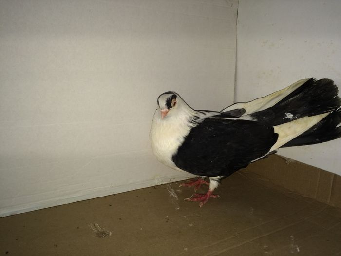 5579  f 2014 - Plecați ALBUM 1