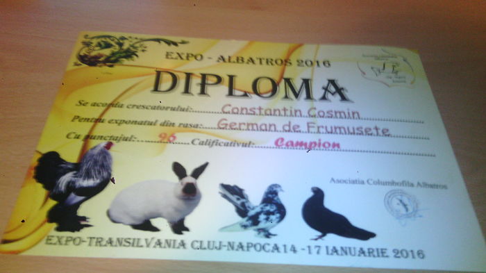 Cluj2016 - Cupe si diplome