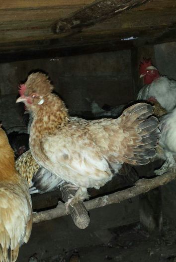 received_1677427759166462-1-1