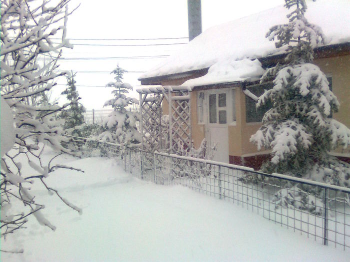 Imagine2314 - A venit iarna