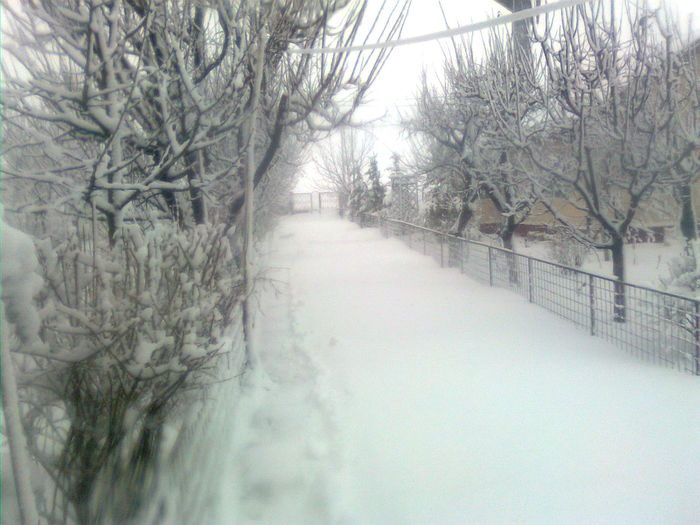 Imagine2324 - A venit iarna