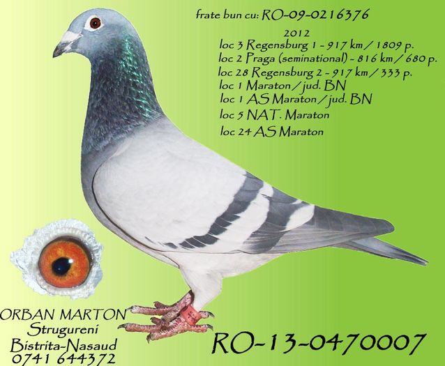 RO-13-0470007 - cuplu 2 L 4 Marat FCI tin 2017