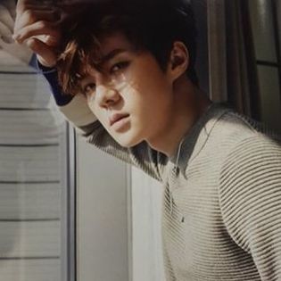 ╳ 153 days l 18.01.2016 ╳