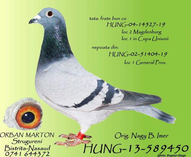 HUNG-13-589450