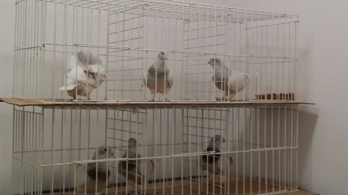 O noua intalnire frumoasa