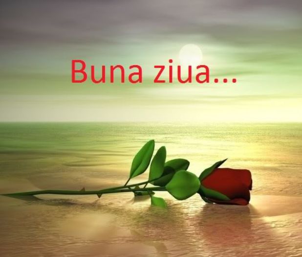 Bunaziua-1 - diverse imagini