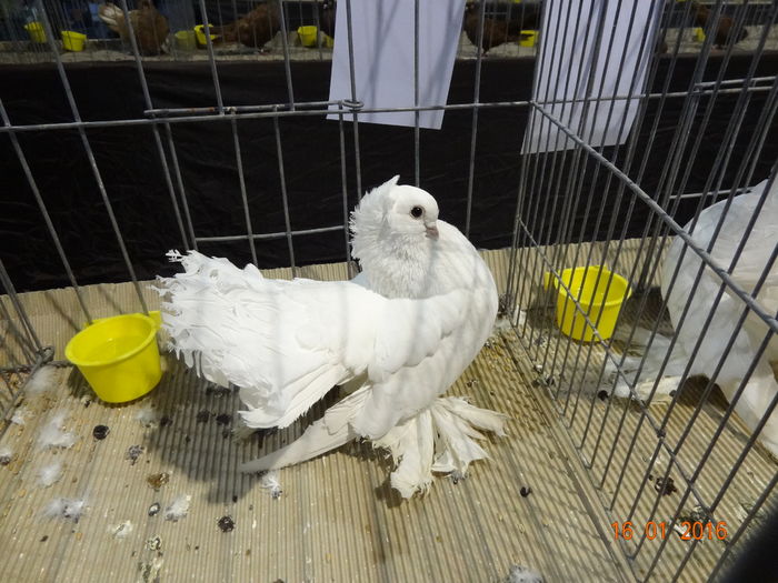 DSC00621