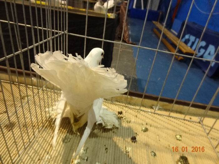 DSC00641