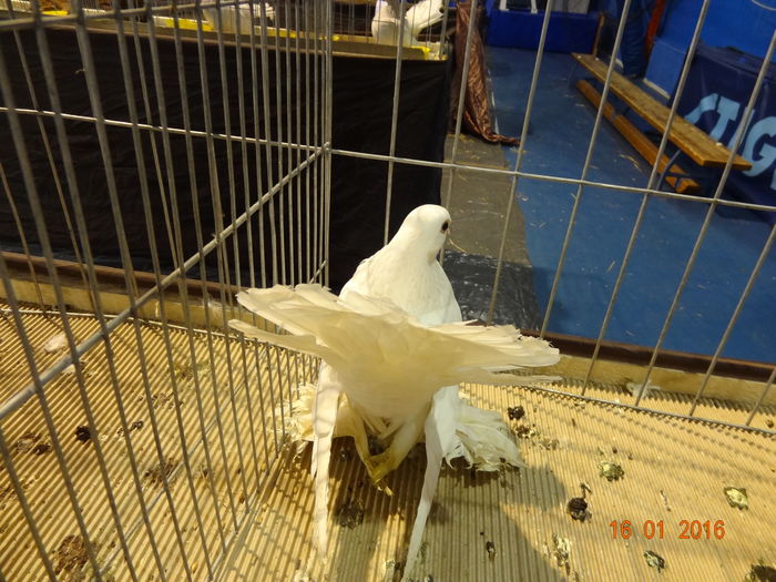 DSC00642