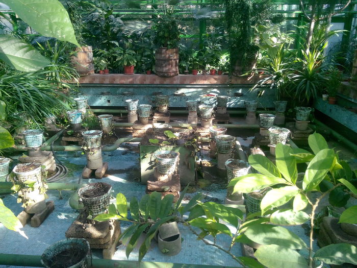 IMG_20151115_114624 - Gradina Botanica Bucuresti