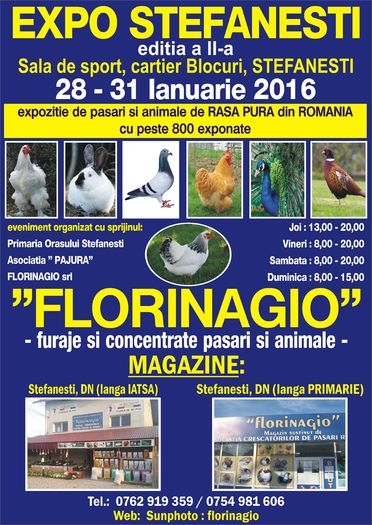 Afis A3 - EXPO STEFANESTI EDITIA A-II-A  2016 IAN 27 01 2016  31 01 2016