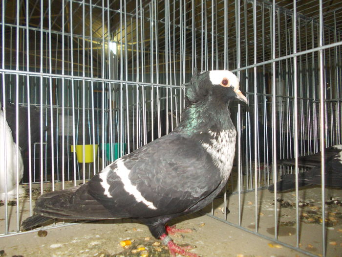 DSCN0053