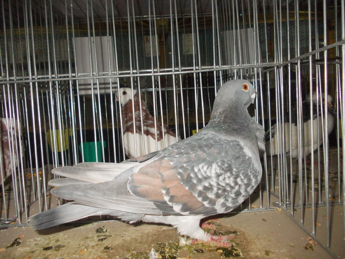 DSCN0079