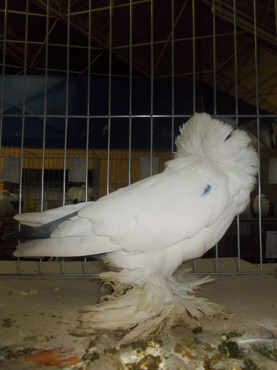 DSCN0099
