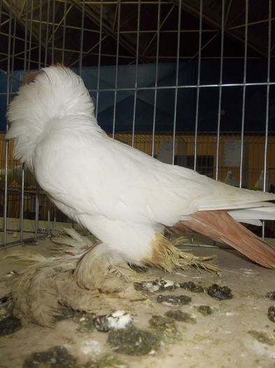 DSCN0100