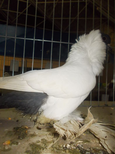 DSCN0101