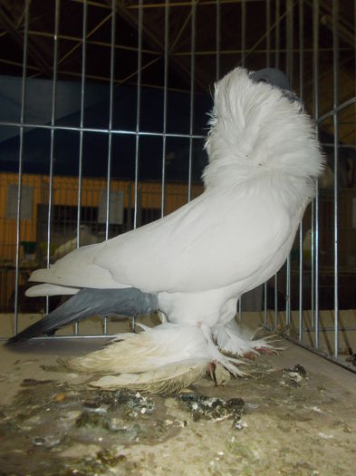 DSCN0102