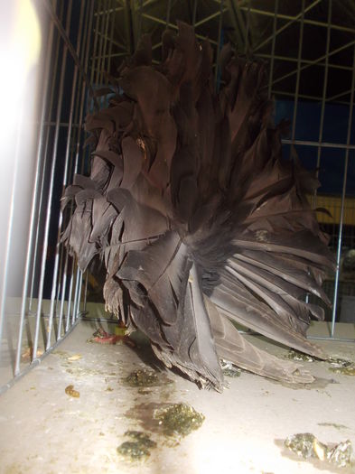 DSCN0104