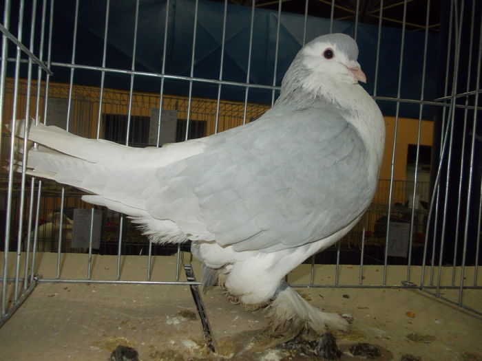 DSCN0108