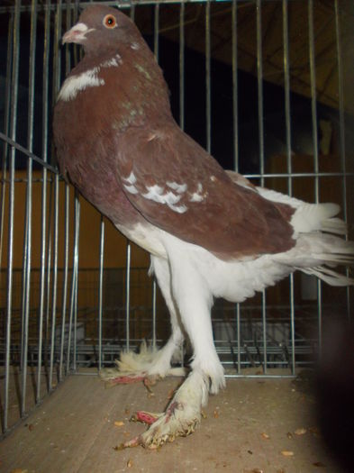 DSCN0135