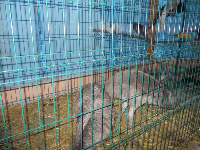 DSCN0162