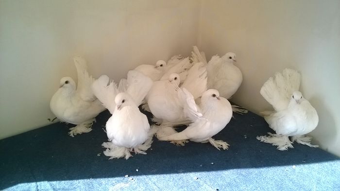 WP_20160120_12_26_32_Pro