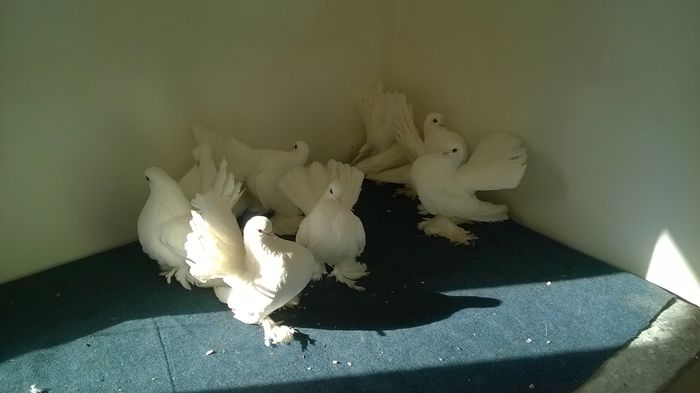 WP_20160120_12_27_01_Pro