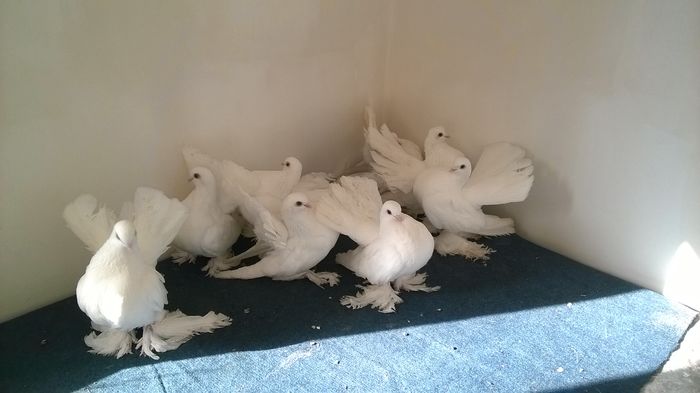 WP_20160120_12_27_09_Pro