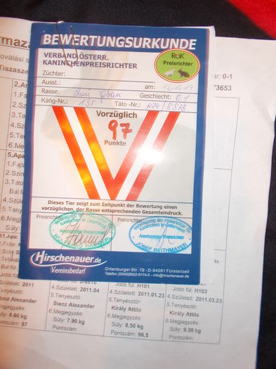 Nationala UNGARIA