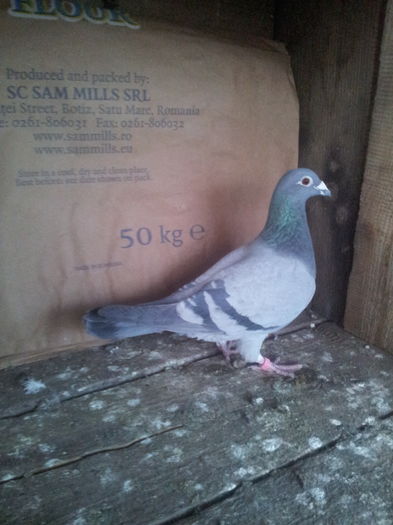 20160120_163727; f.2013
