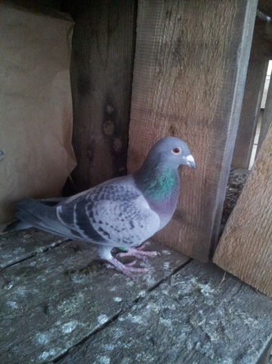 20160120_164022; m 2014 pripasit
