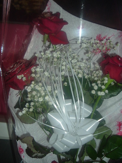 DSCF2017; Trandafiri
