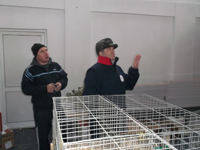 VEDETI-VA DE TREABA....