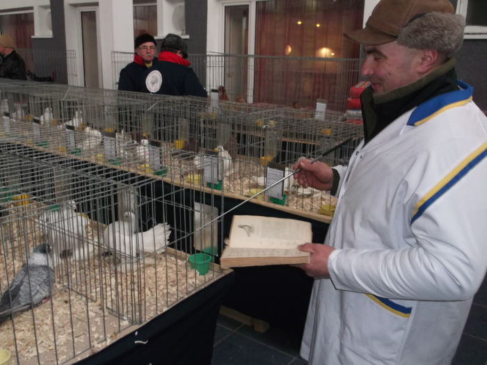 flori 649 - EXPOZITIE ACAS HENIU BISTRITA2016