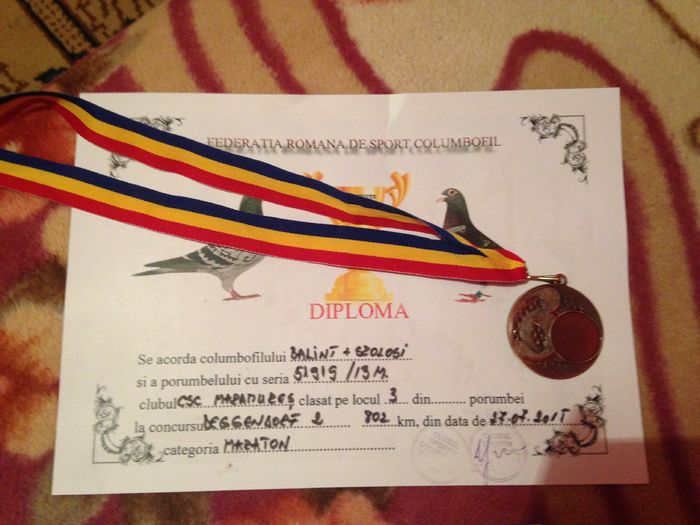 IMG_0054 - Zburatori 2015