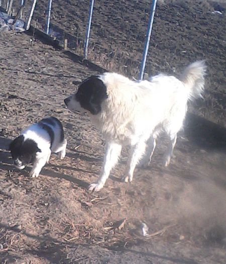 IMG_20160122_143041-1