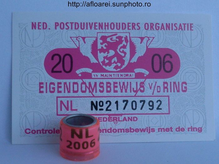 nl 2006 - OLANDA-NL