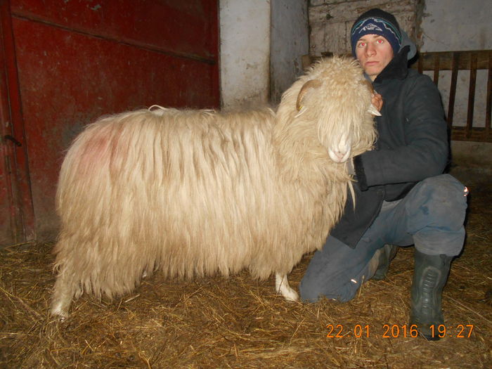 Picture 057 - Balele 2016-2017